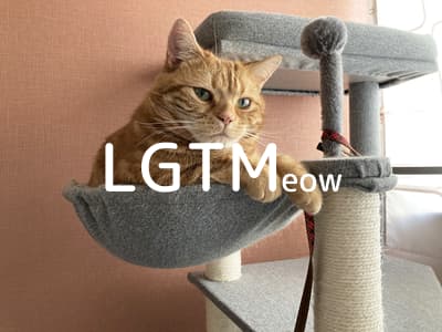 lgtm-cat-image