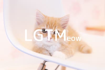 lgtm-cat-image