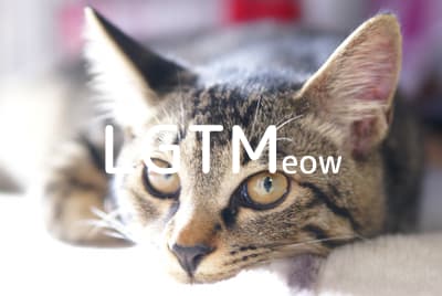 lgtm-cat-image