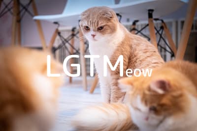 lgtm-cat-image