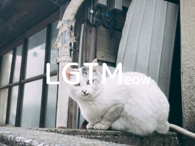 lgtm-cat-image